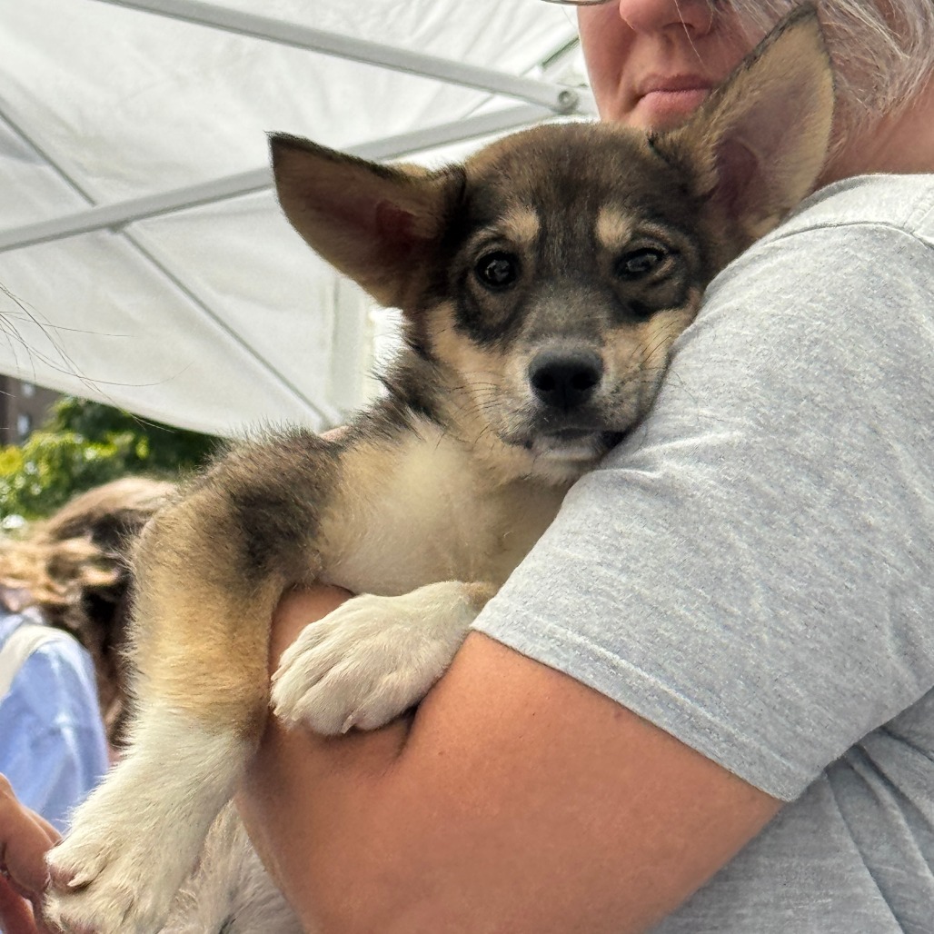 NY Sierra Avail Sep 13 (Kent Community Day)