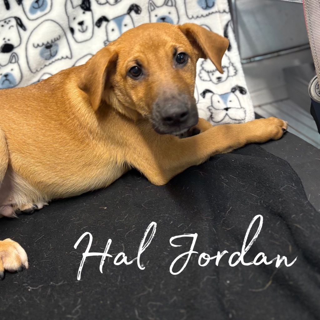 Hal Jordan