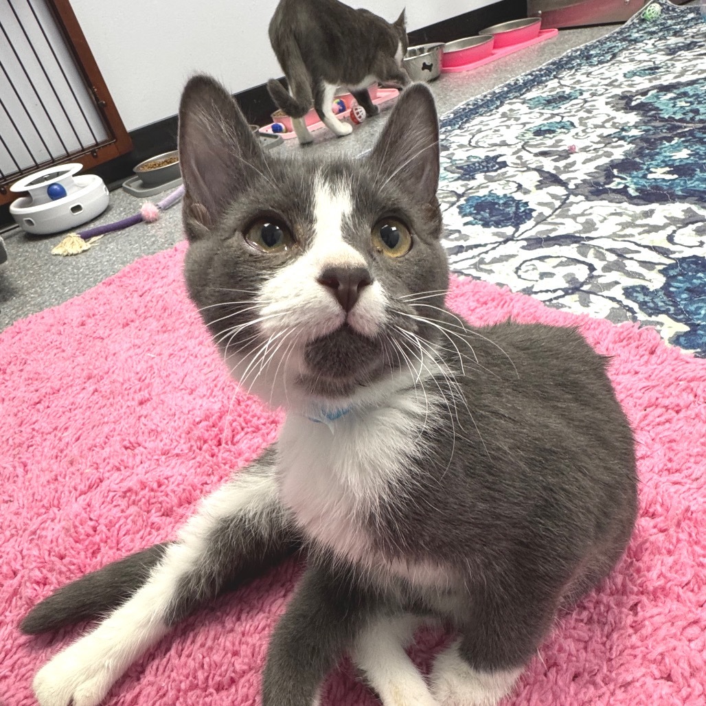 Tinker