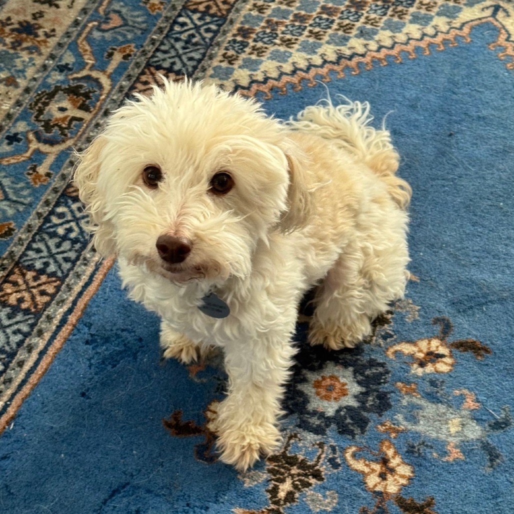 Benny