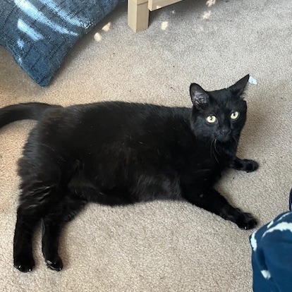 Abner