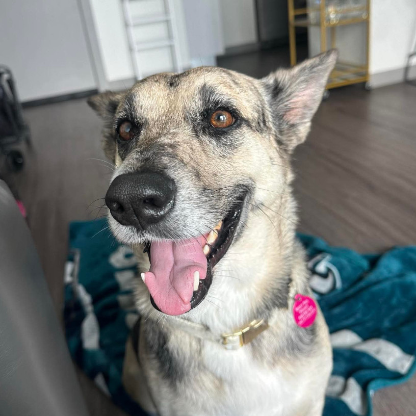 Stella