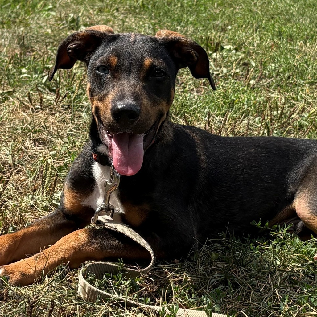 Sid
