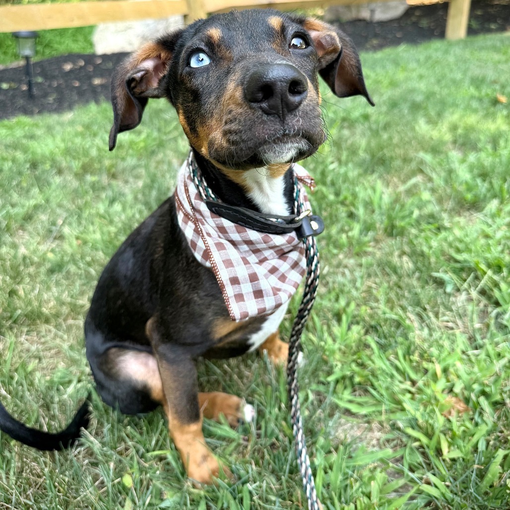 Sid