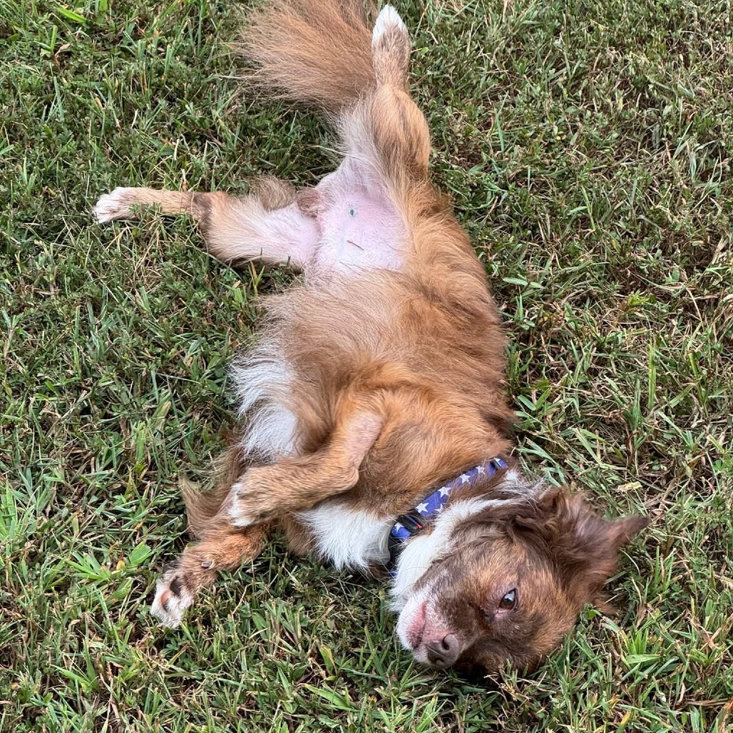 Duke