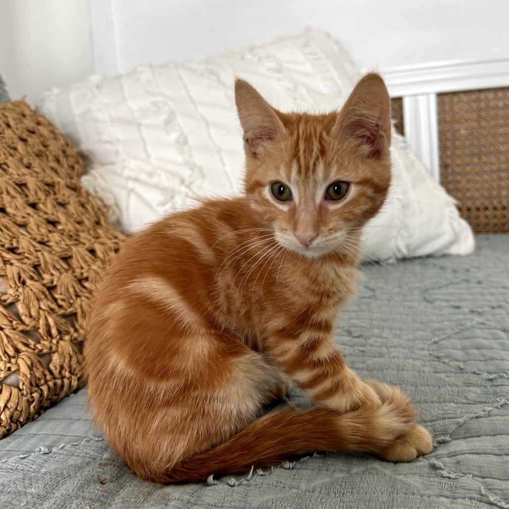 Tigger