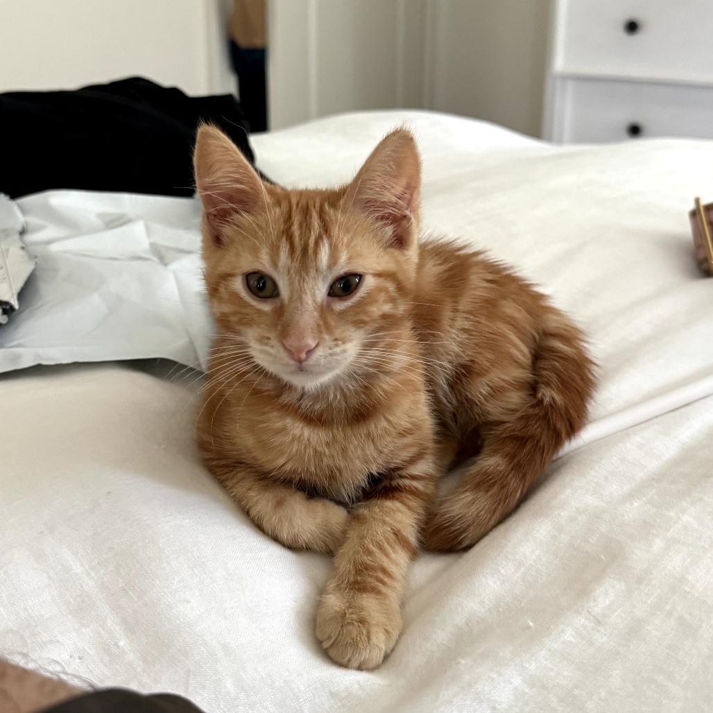 Tigger