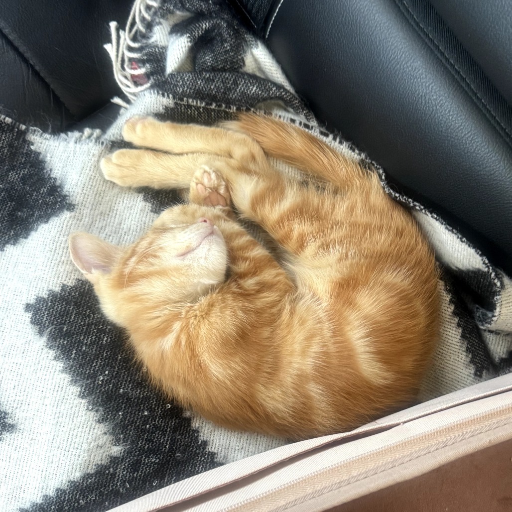 Tigger