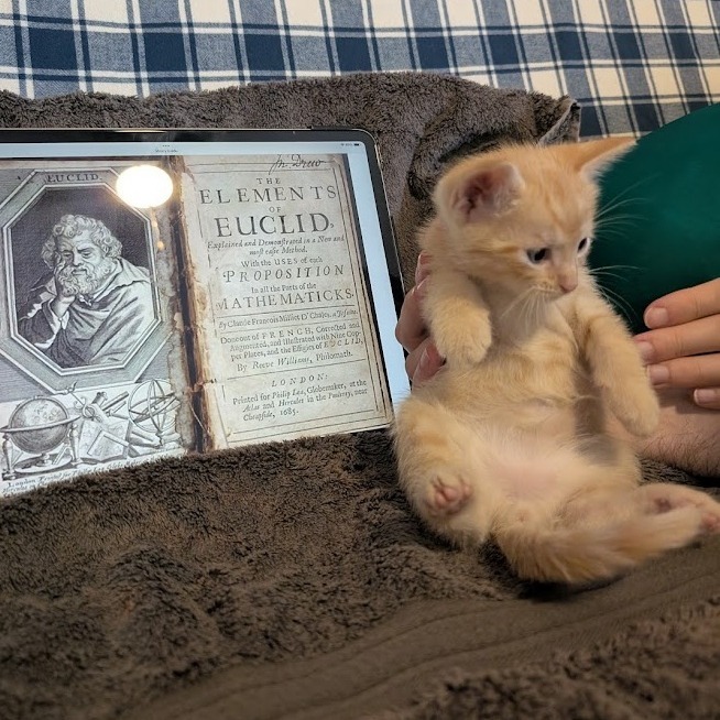 Euclid 16