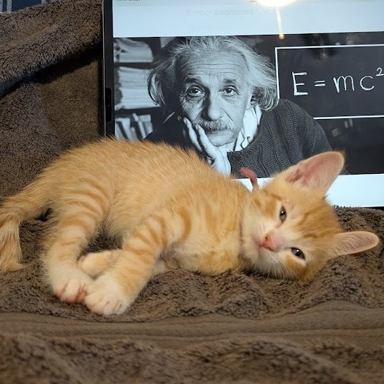Einstein 16