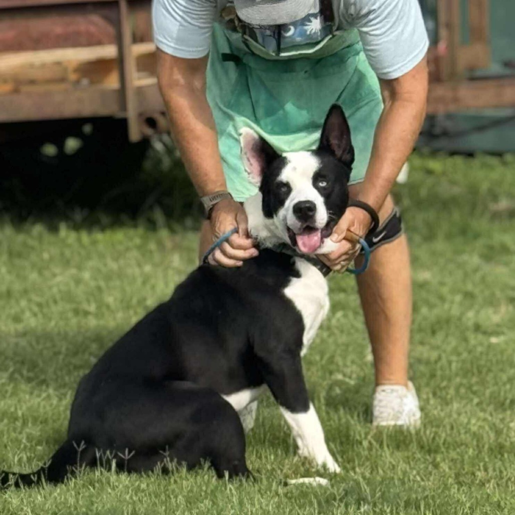 Max