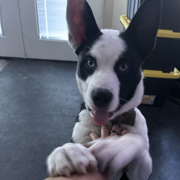 Max