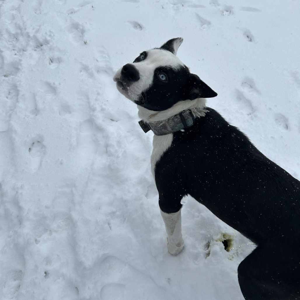 Max