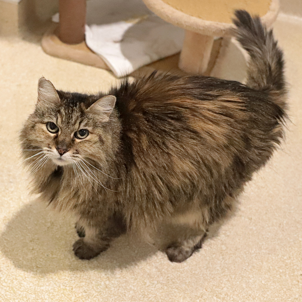 Lucy