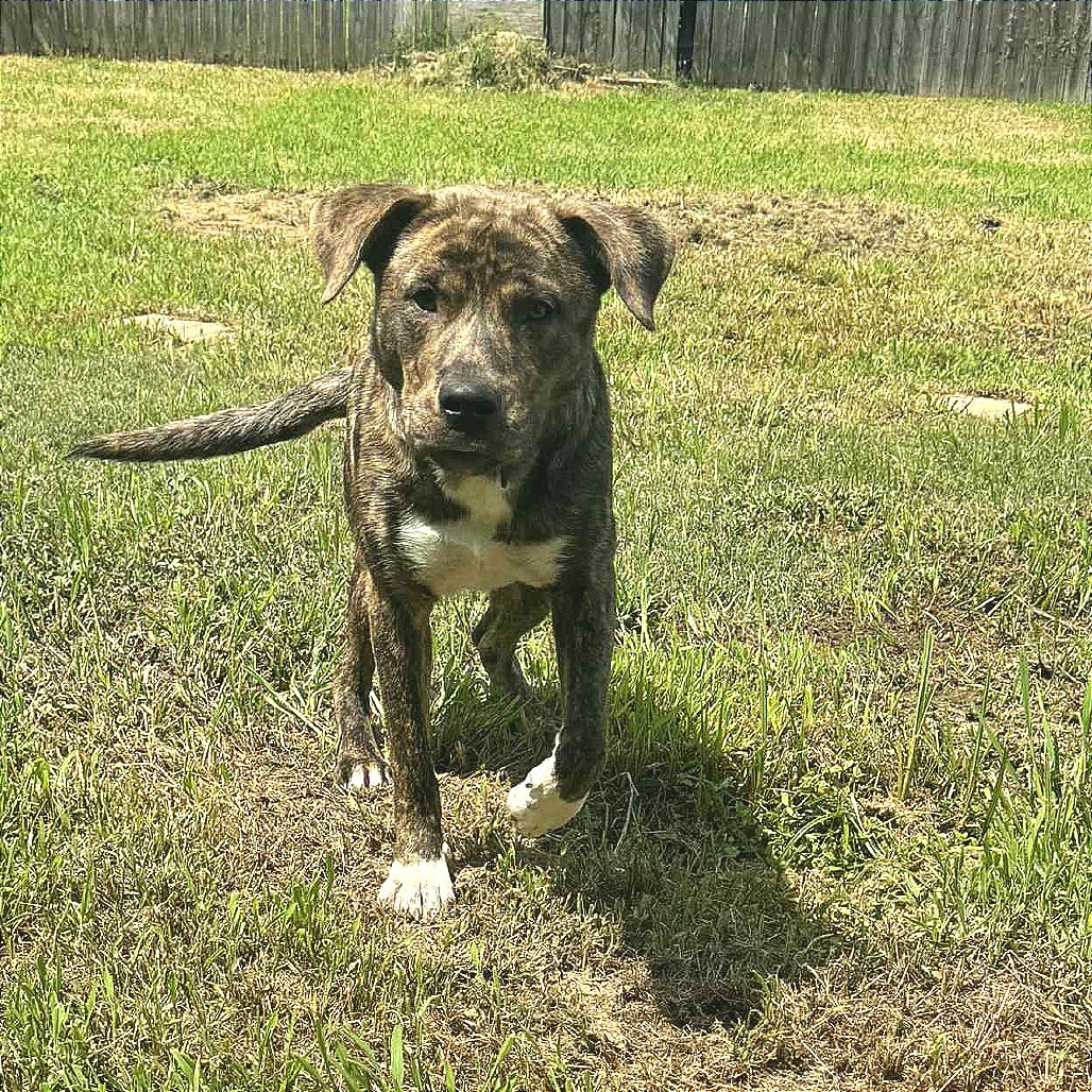 Parker
