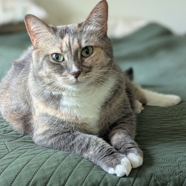 Chloe