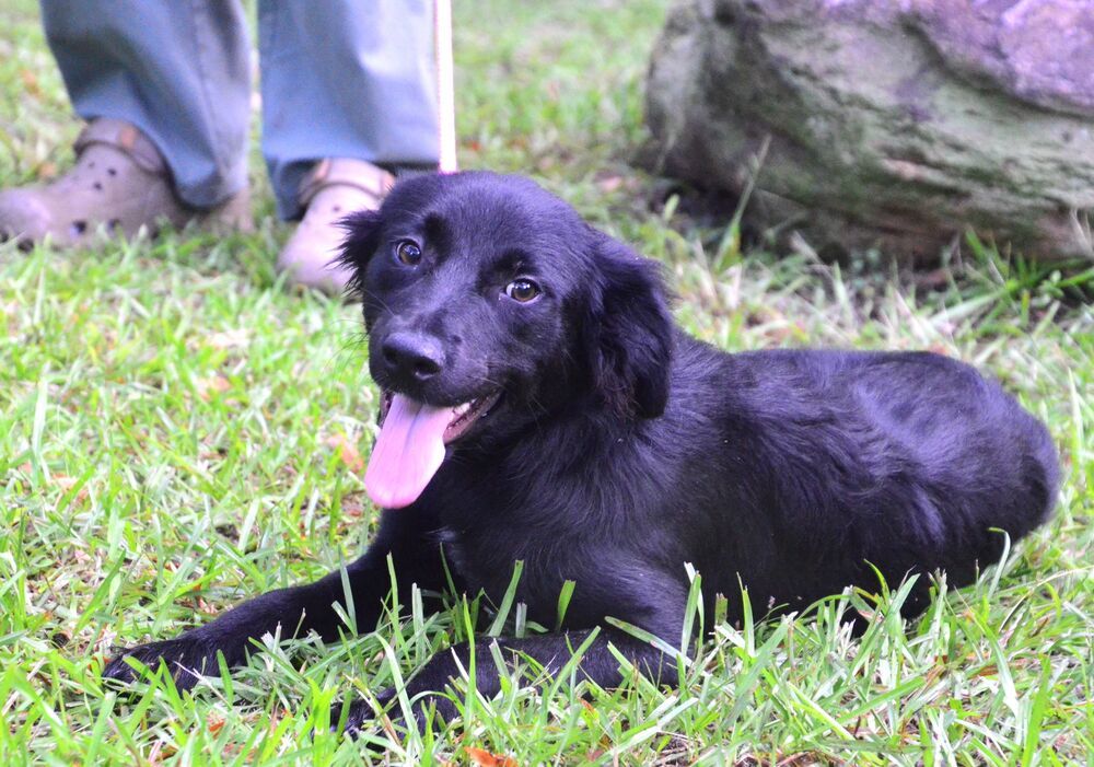 Sadie