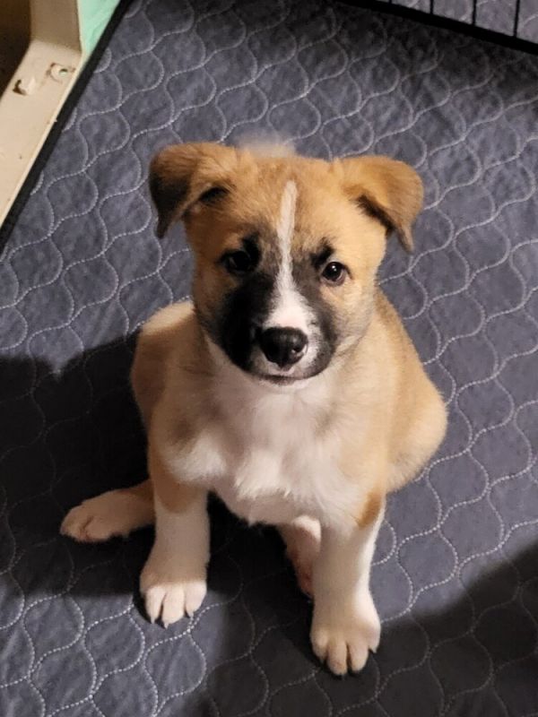 Ezra