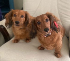 Max &amp; Mollie