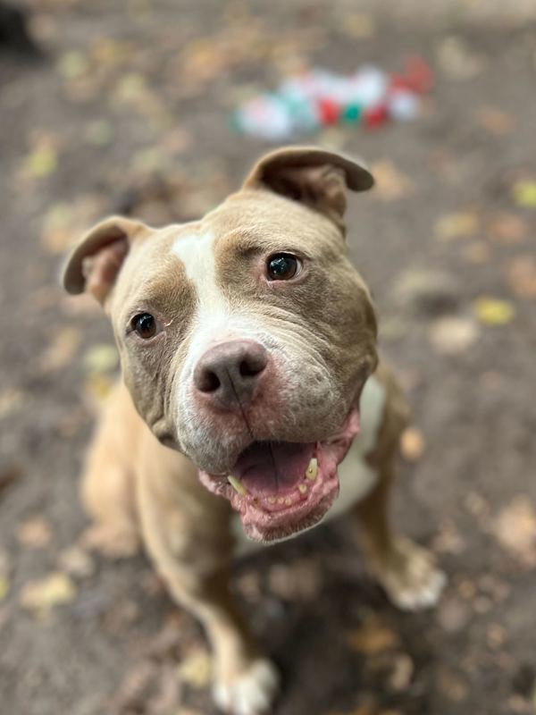 Bella Jean
