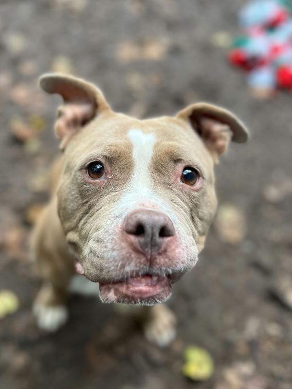 Bella Jean