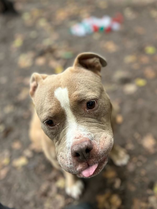Bella Jean