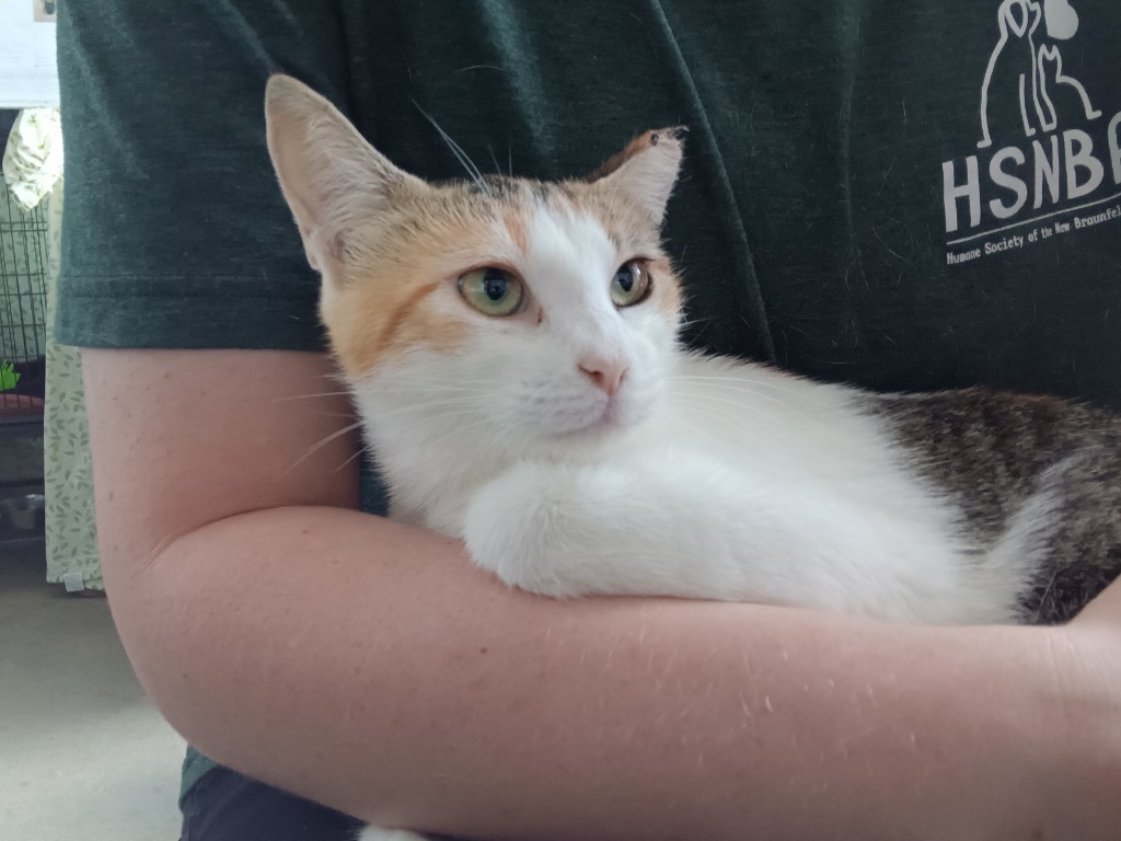 Princess Poppy