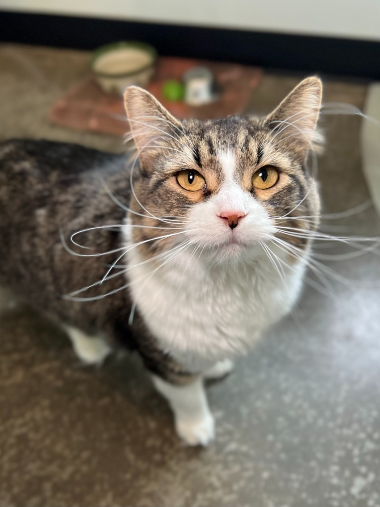 Matilda