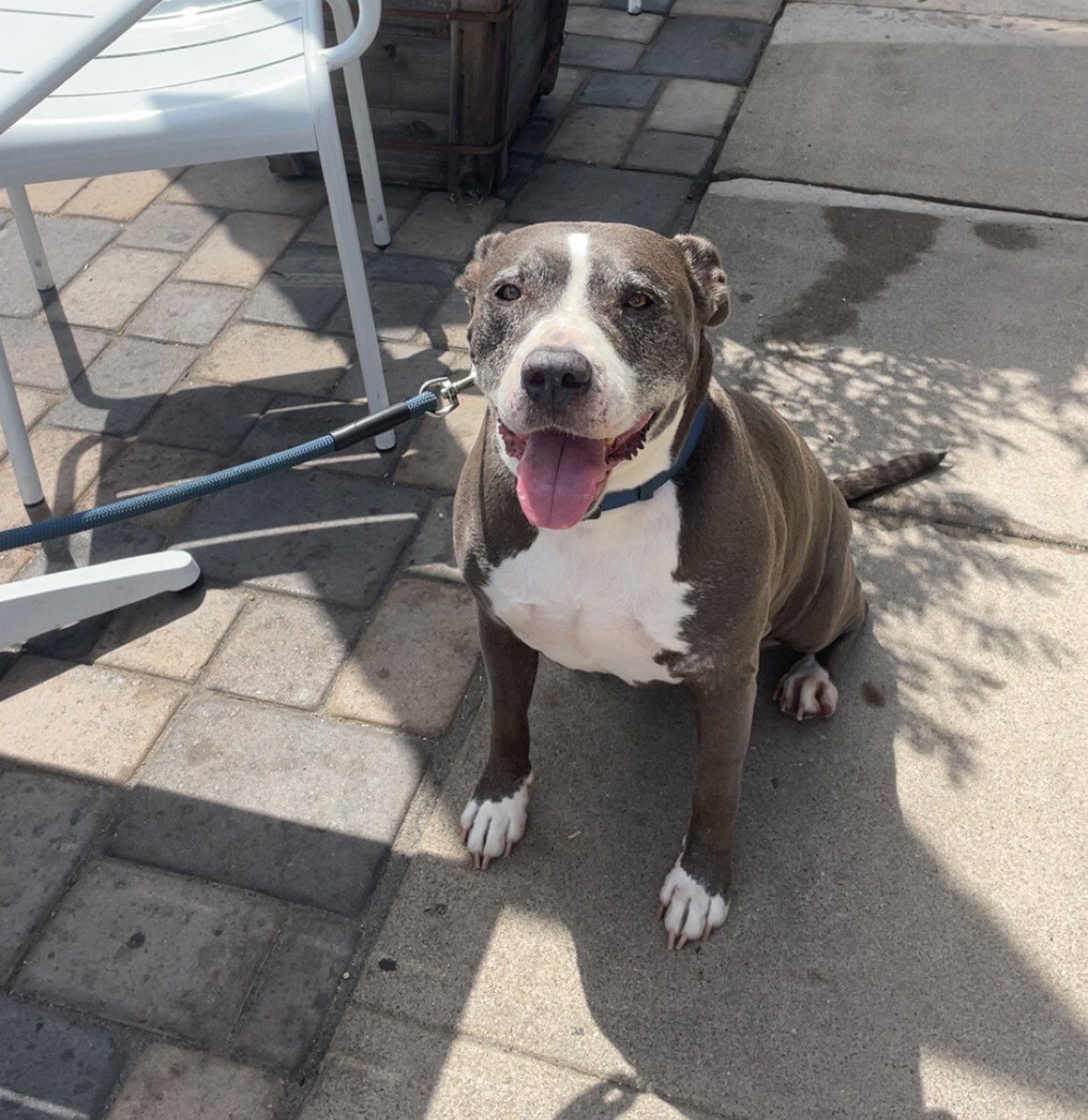 Mabel - Courtesy Post