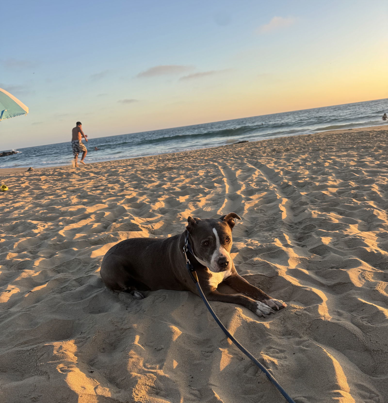 Mabel - Courtesy Post
