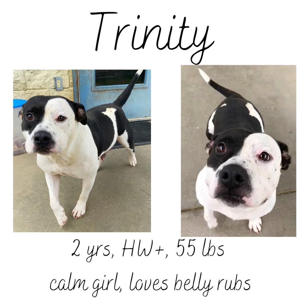 Trinity