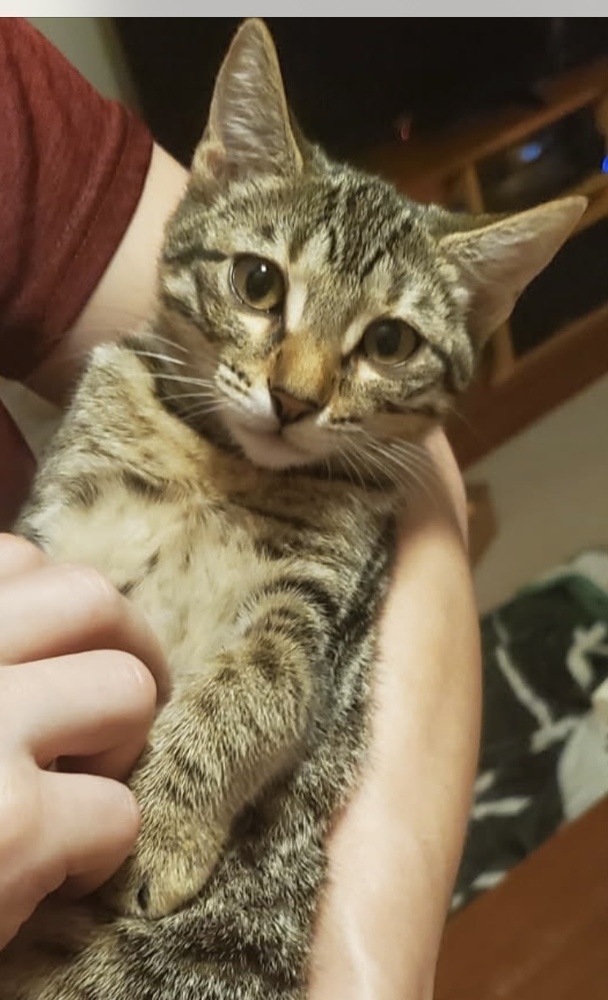 Princess