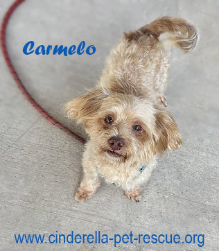Carmelo
