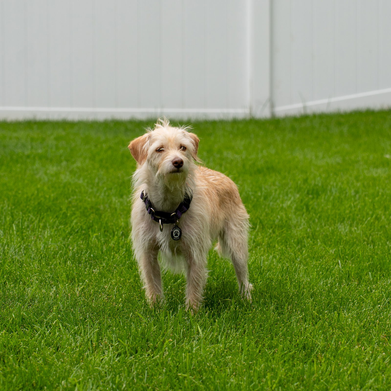 Barkley