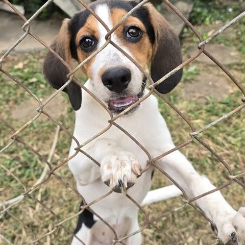 Lucy