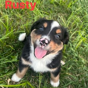 Rusty