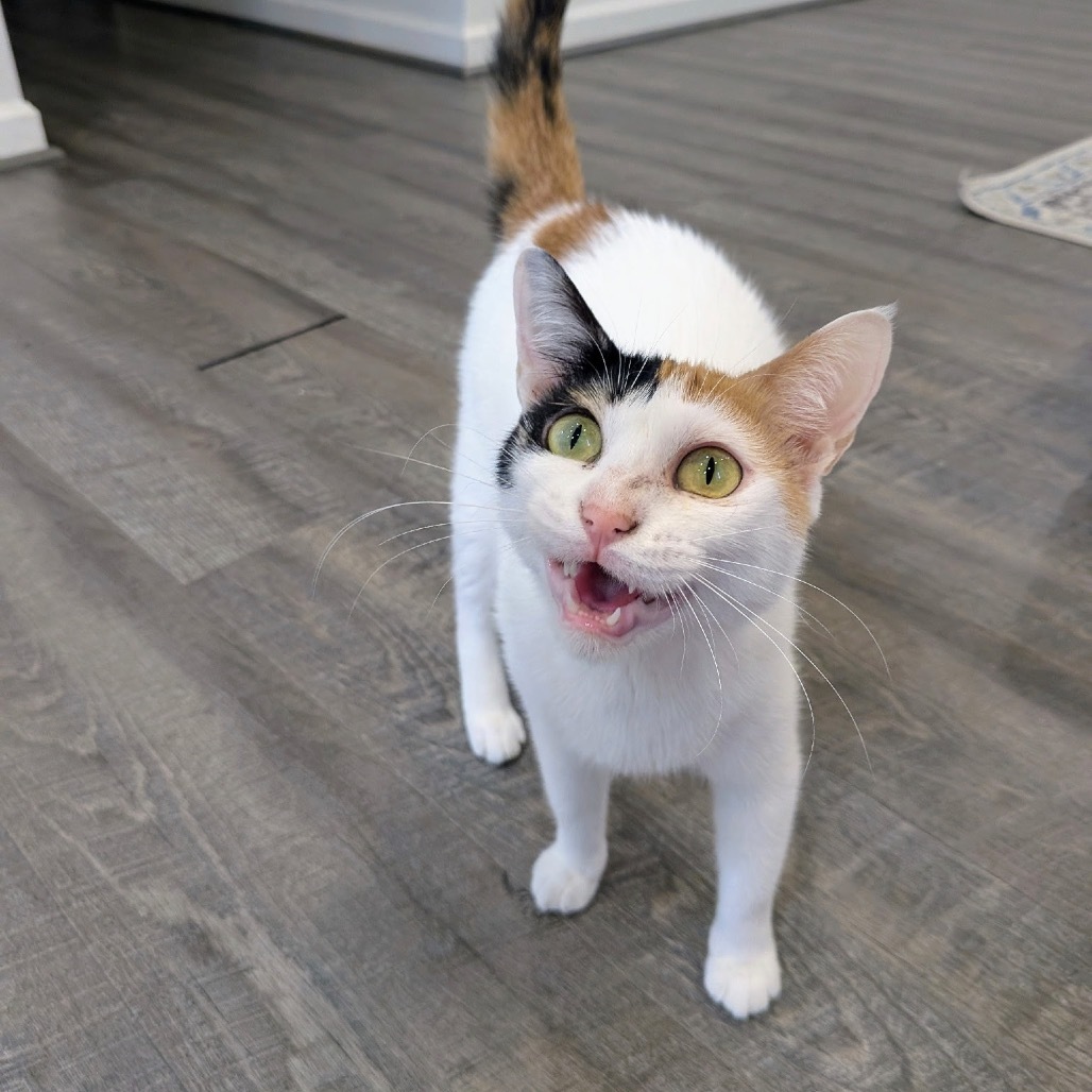 Maggie - Dubai