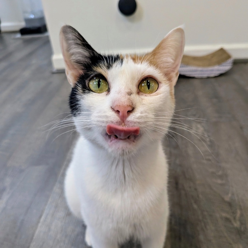 Maggie - Dubai