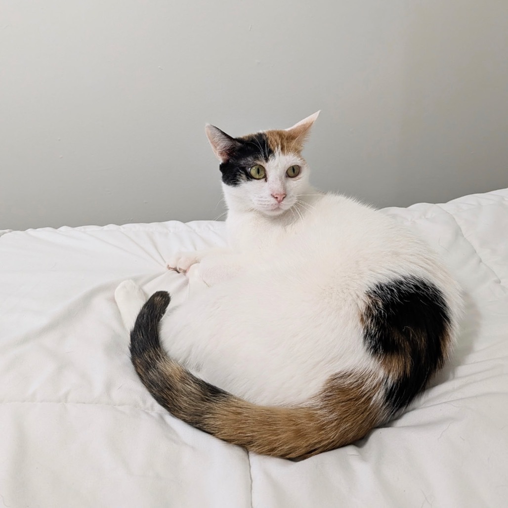 Maggie - Dubai