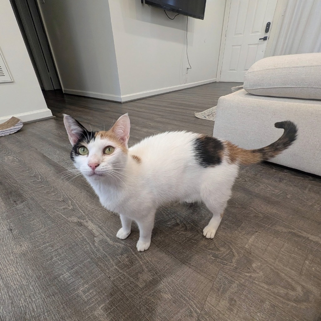 Maggie - Dubai