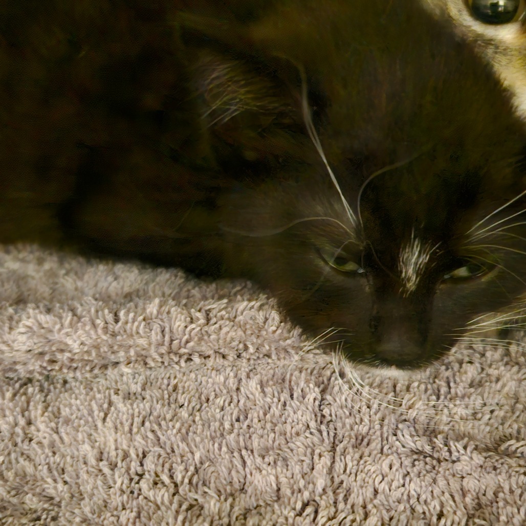 Thelma