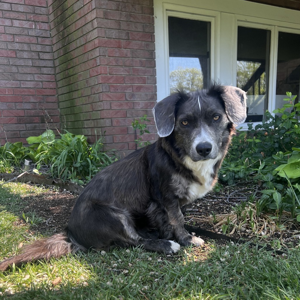 Sadie