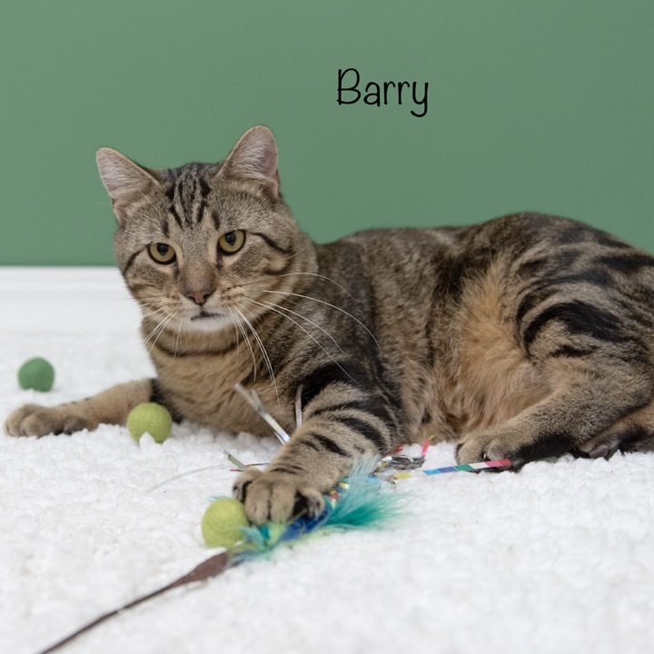 Barry