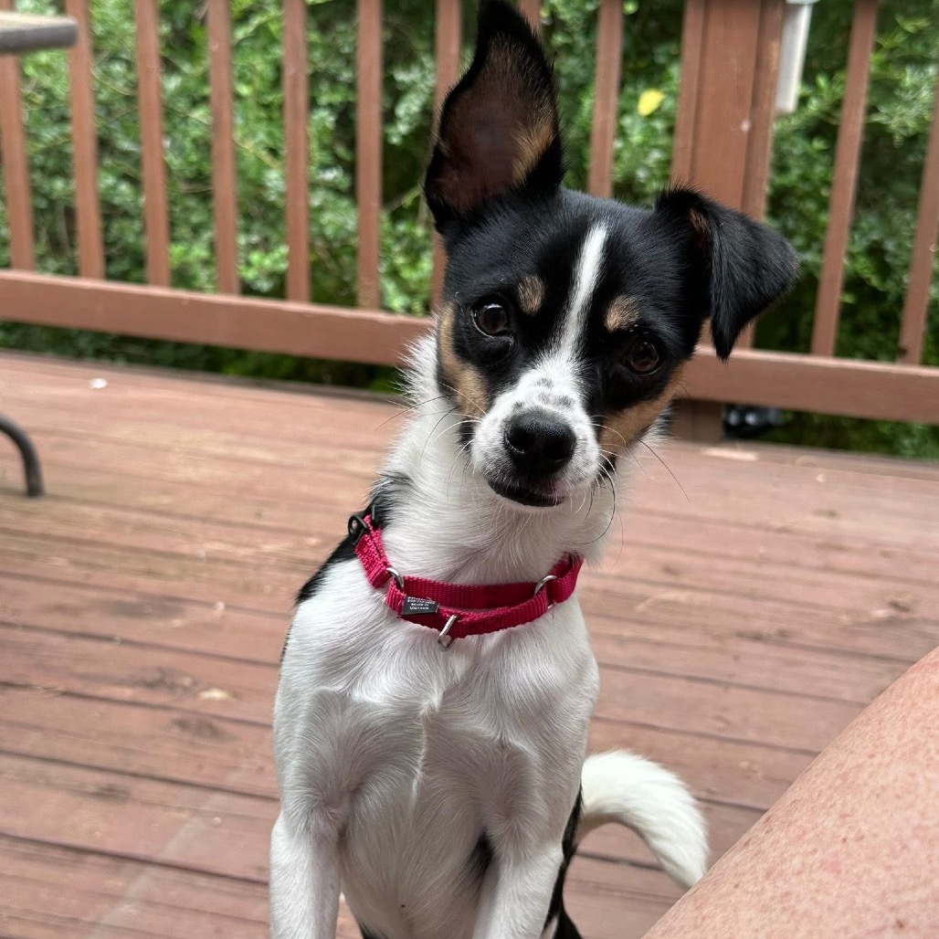 Kiki