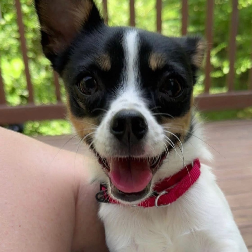 Kiki