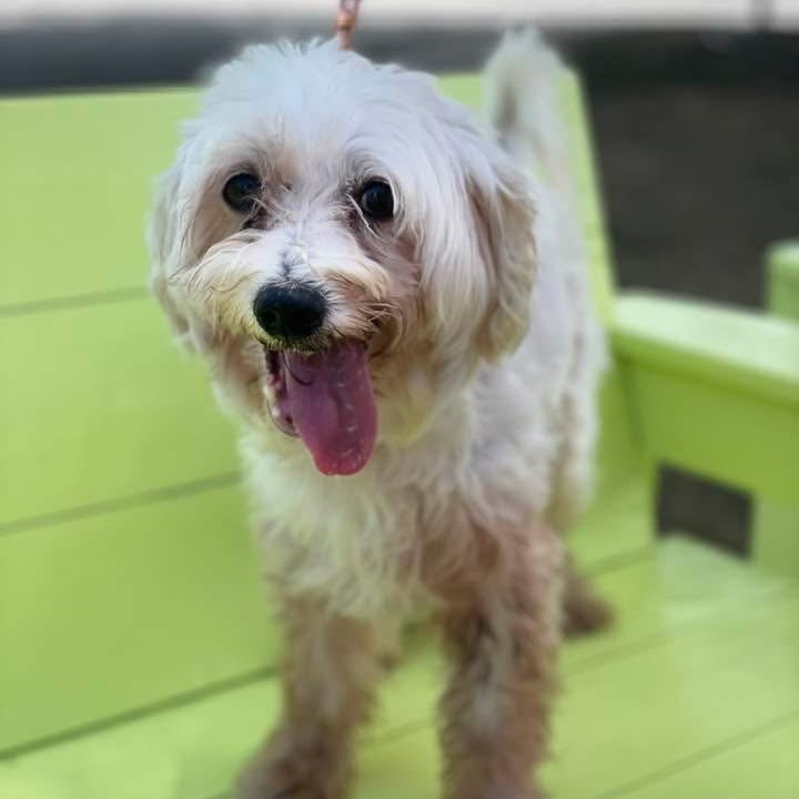 Murphy