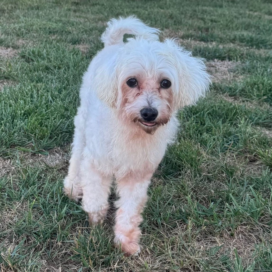 Murphy