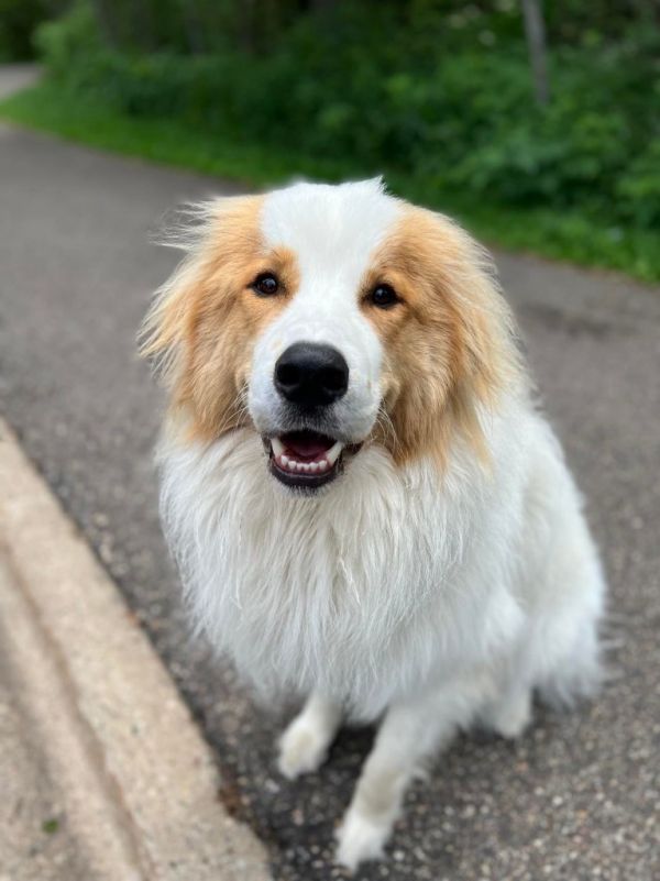 Wilson