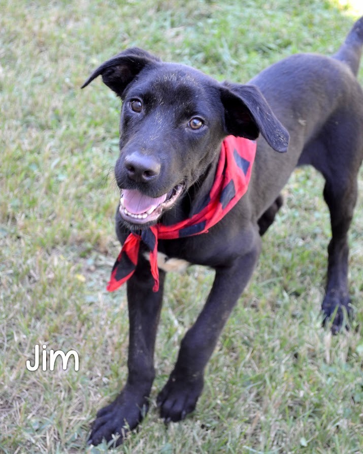 Jim