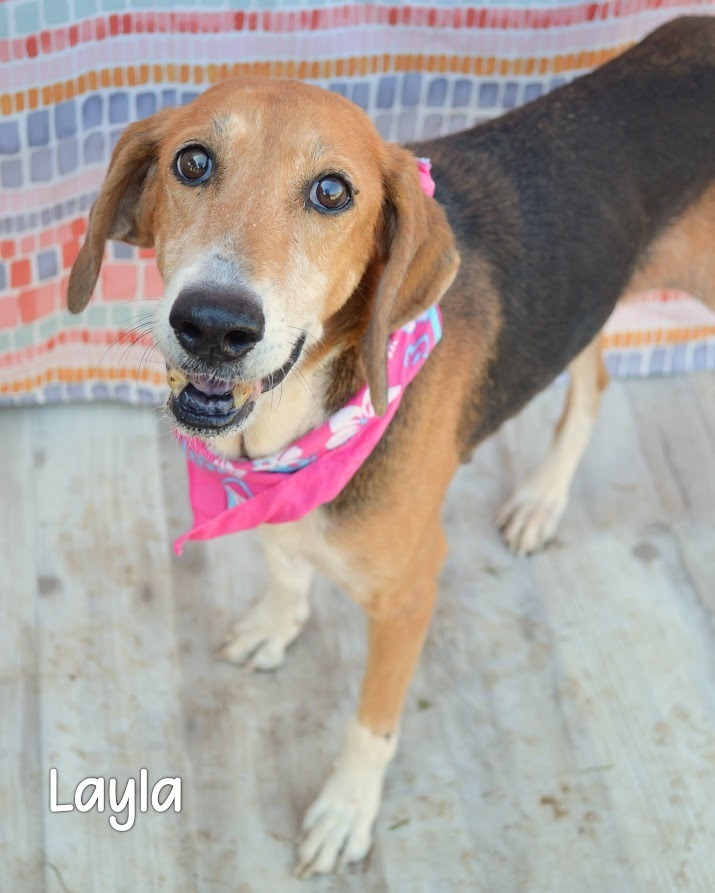 Layla